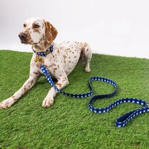 Kate Spade Gingham Print Dog Leash